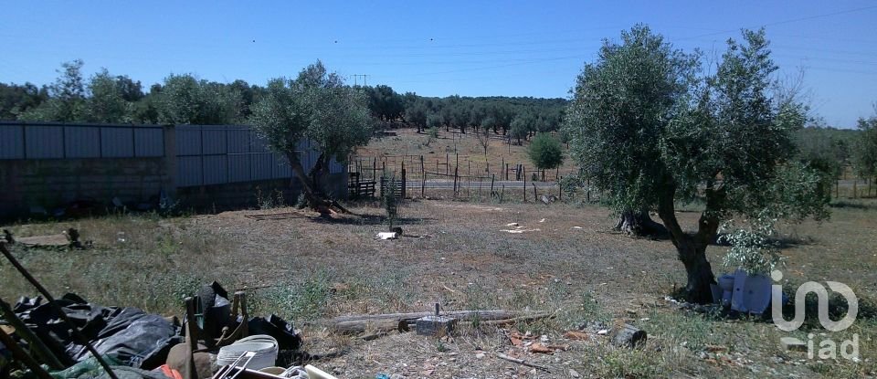 Land in Estremoz (Santa Maria e Santo André) of 5,000 m²