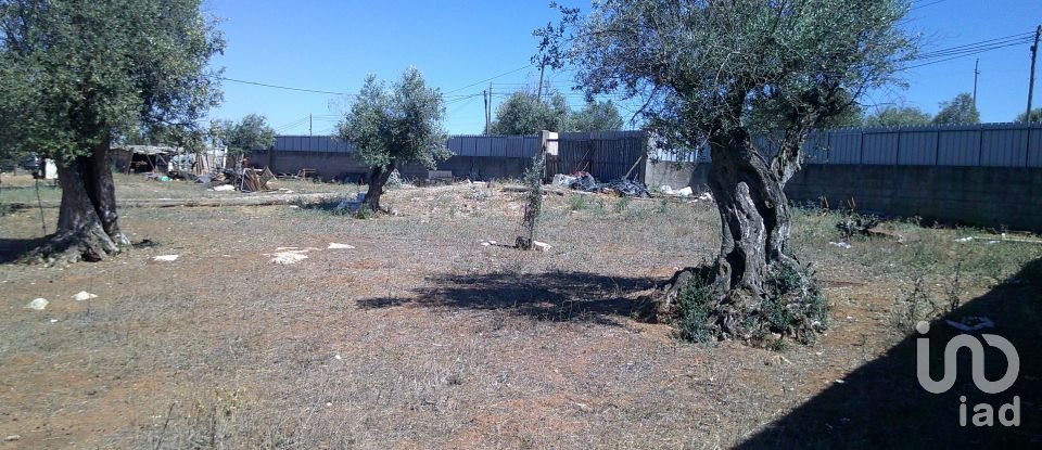 Land in Estremoz (Santa Maria e Santo André) of 5,000 m²