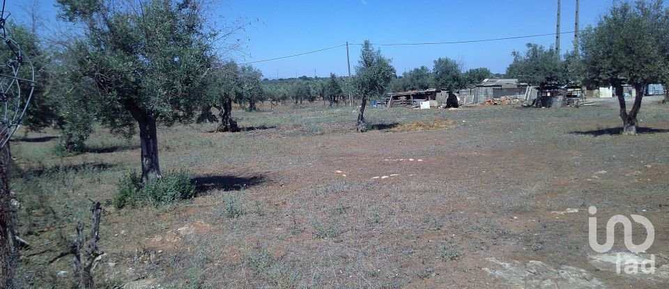Land in Estremoz (Santa Maria e Santo André) of 5,000 m²