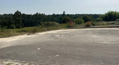Terrain à bâtir à Alvito (São Pedro E São Martinho) E Couto de 820 m²