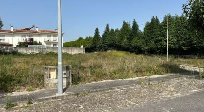 Terrain à bâtir à Alvito (São Pedro E São Martinho) E Couto de 820 m²
