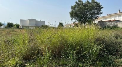Terrain à bâtir à Alvito (São Pedro E São Martinho) E Couto de 820 m²