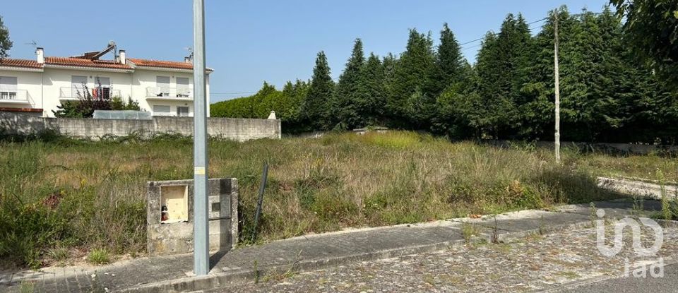 Terreno em Alvito (São Pedro E São Martinho) E Couto de 880 m²