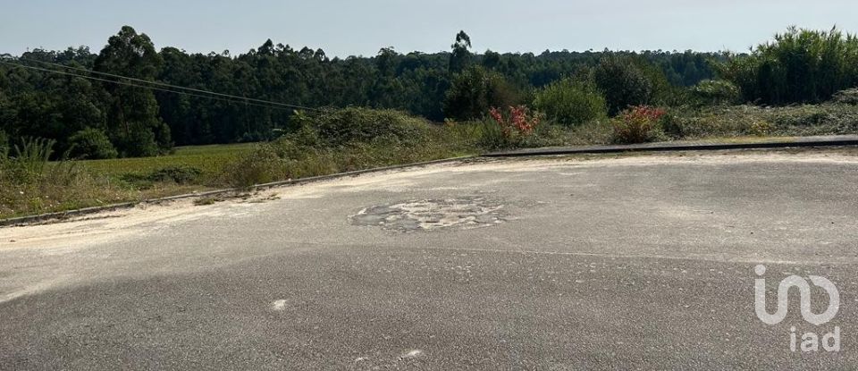 Terreno em Alvito (São Pedro E São Martinho) E Couto de 880 m²