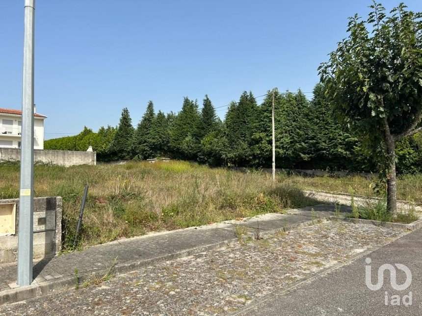 Terreno em Alvito (São Pedro E São Martinho) E Couto de 880 m²