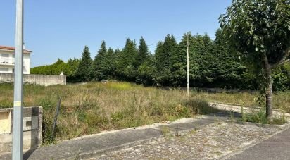 Terrain à Alvito (São Pedro E São Martinho) E Couto de 880 m²