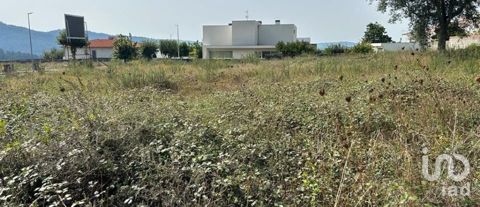 Terreno em Alvito (São Pedro E São Martinho) E Couto de 880 m²