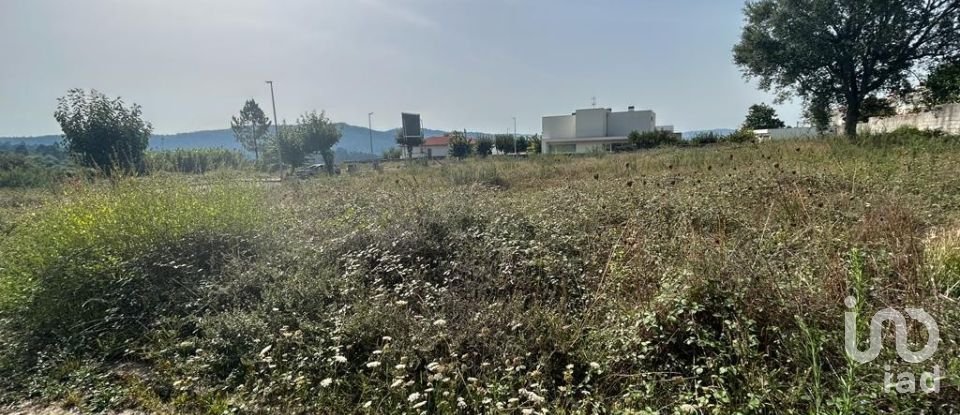 Terreno em Alvito (São Pedro E São Martinho) E Couto de 880 m²