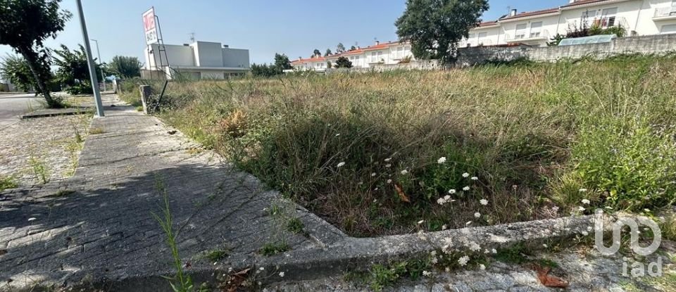 Terreno em Alvito (São Pedro E São Martinho) E Couto de 880 m²