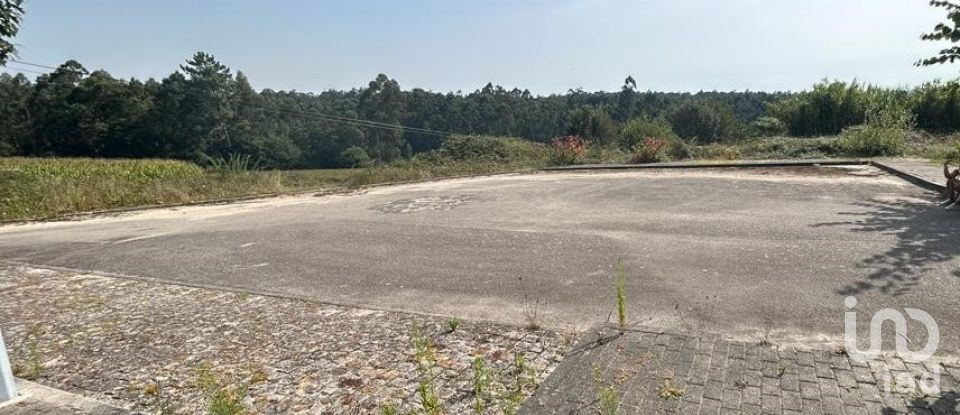 Terreno em Alvito (São Pedro E São Martinho) E Couto de 880 m²