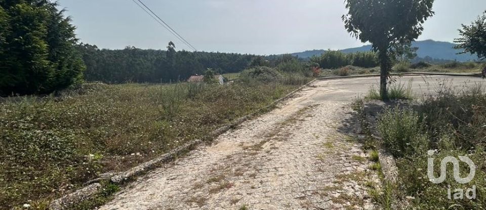 Terreno em Alvito (São Pedro E São Martinho) E Couto de 880 m²