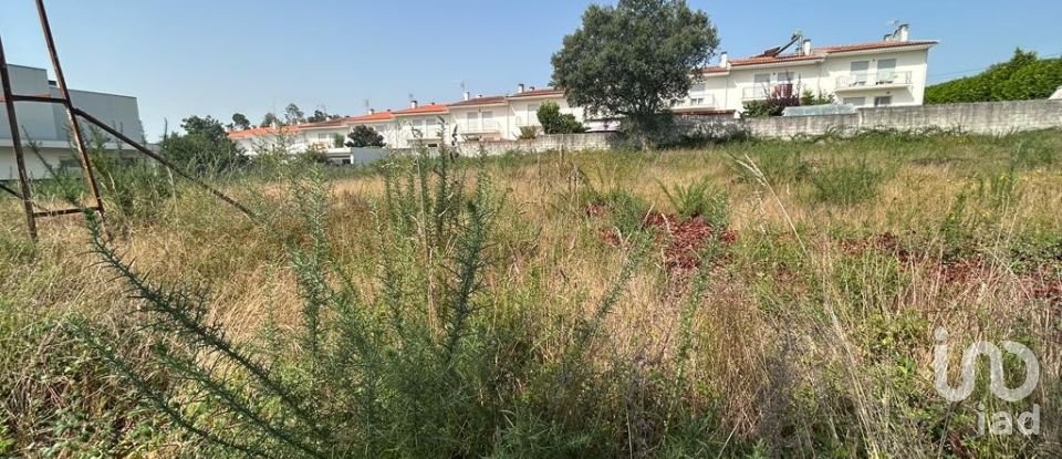 Terreno em Alvito (São Pedro E São Martinho) E Couto de 880 m²