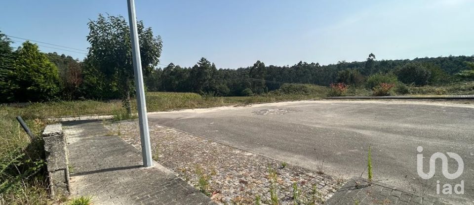 Terreno em Alvito (São Pedro E São Martinho) E Couto de 880 m²