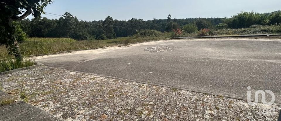 Terreno em Alvito (São Pedro E São Martinho) E Couto de 880 m²
