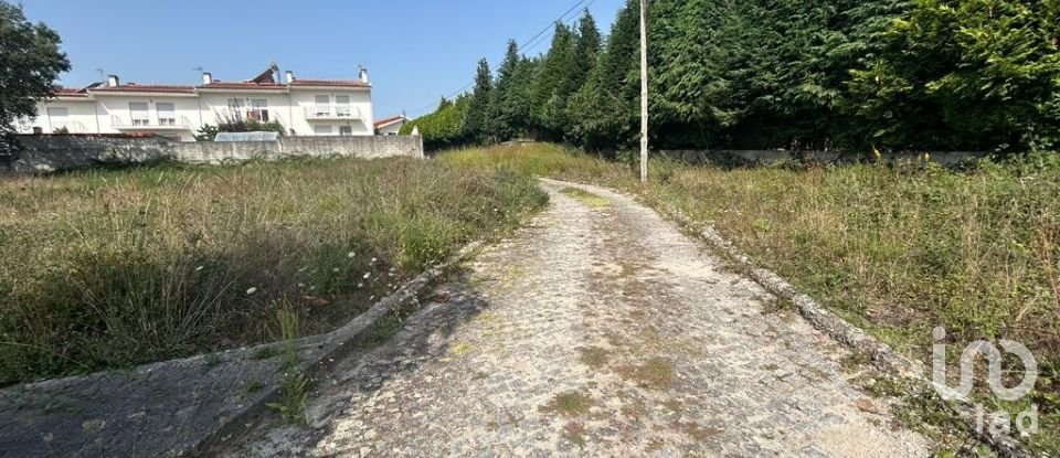 Terreno em Alvito (São Pedro E São Martinho) E Couto de 880 m²