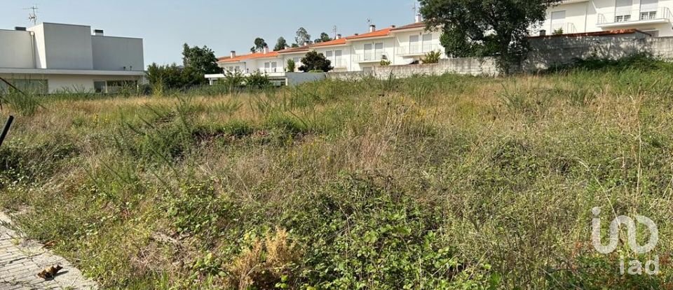 Terreno em Alvito (São Pedro E São Martinho) E Couto de 880 m²