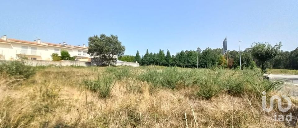 Terreno em Alvito (São Pedro E São Martinho) E Couto de 880 m²