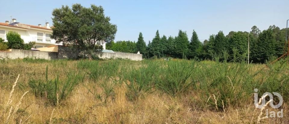 Terreno em Alvito (São Pedro E São Martinho) E Couto de 880 m²