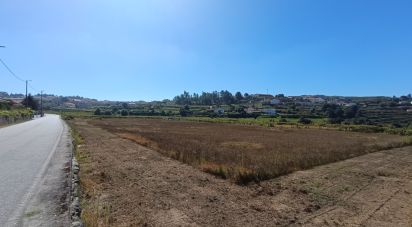 Agricultural land in Figueiró (Santiago e Santa Cristina) of 10,411 m²