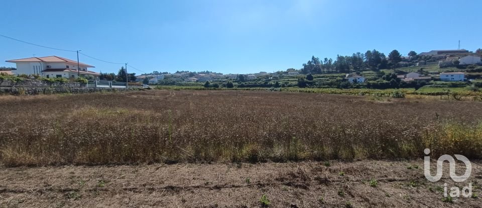 Terrain agricole à Figueiró (Santiago e Santa Cristina) de 10 411 m²