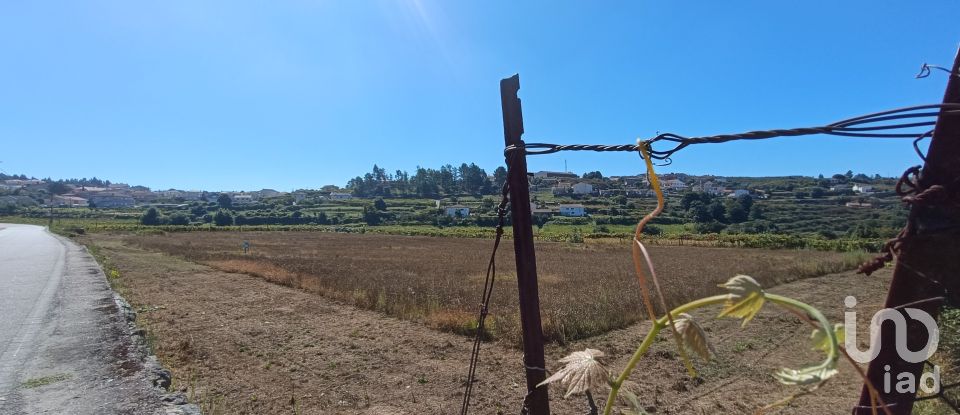 Terreno Agrícola em Figueiró (Santiago e Santa Cristina) de 10 411 m²