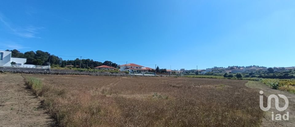 Agricultural land in Figueiró (Santiago e Santa Cristina) of 10,411 m²
