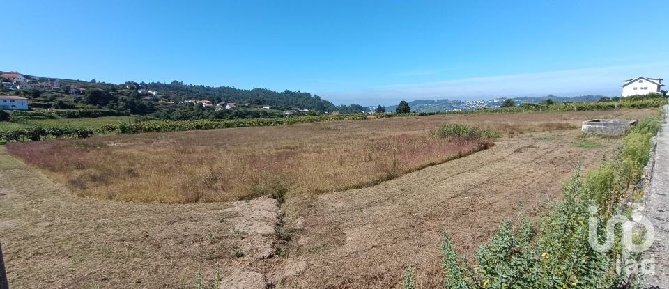 Terrain agricole à Figueiró (Santiago e Santa Cristina) de 10 411 m²