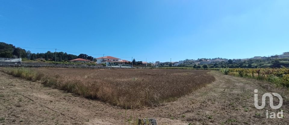Terreno Agrícola em Figueiró (Santiago e Santa Cristina) de 10 411 m²