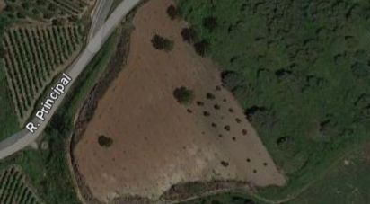 Agricultural land in Vilar of 5,360 m²