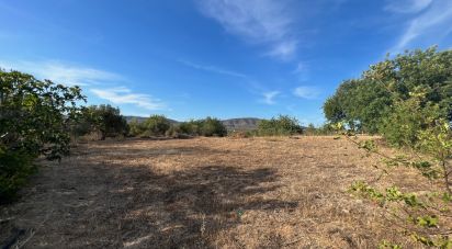 Terrain à Quelfes de 1 600 m²