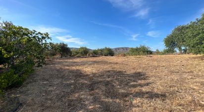 Terrain à Quelfes de 1 600 m²