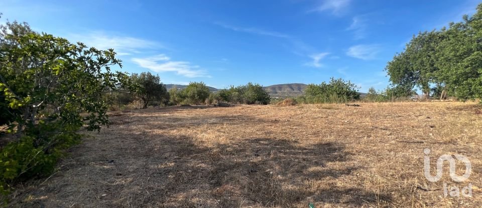 Terreno em Quelfes de 1 600 m²