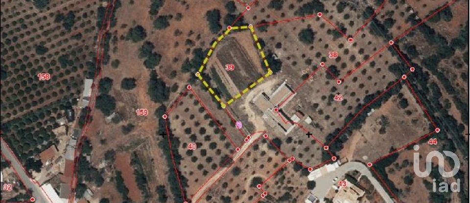 Terreno em Quelfes de 1 600 m²