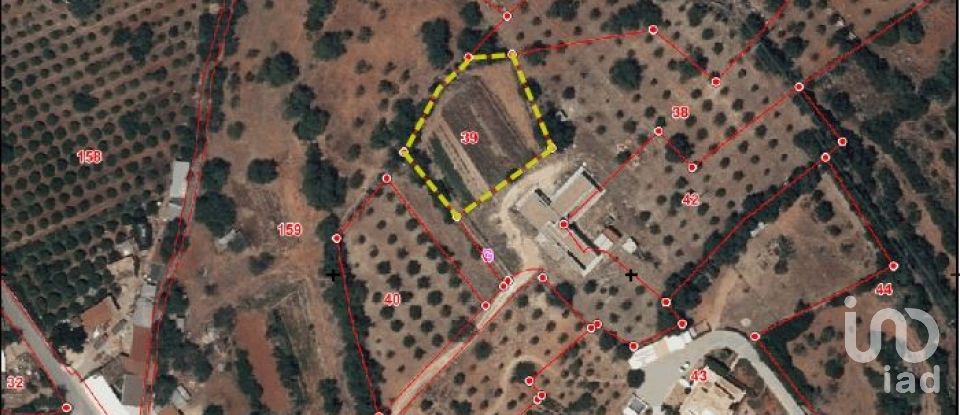 Land in Quelfes of 1,600 m²