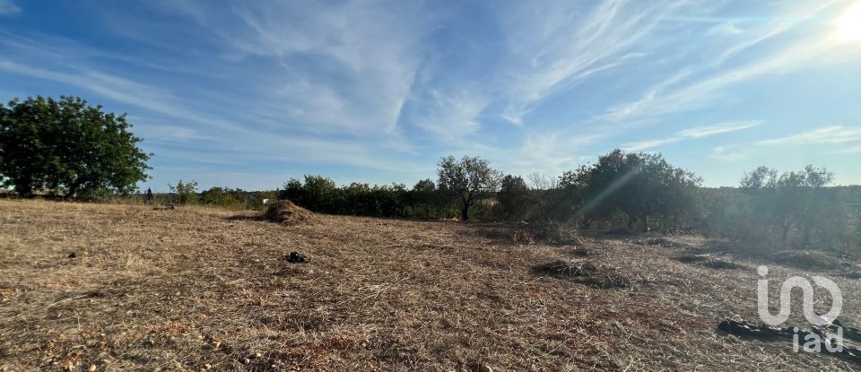 Terreno em Quelfes de 1 600 m²