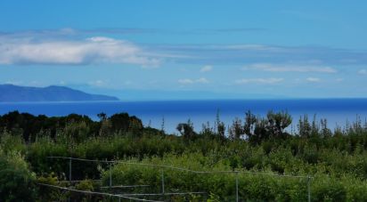 Maison traditionnelle T2 à Piedade de 136 m²