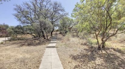 Farm T3 in Santa Catarina da Fonte do Bispo of 171 m²