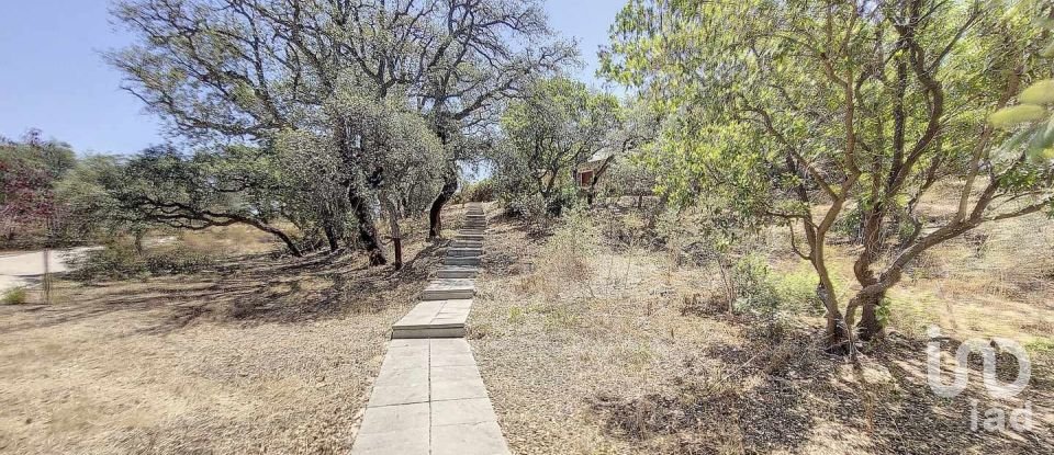 Farm T3 in Santa Catarina da Fonte do Bispo of 171 m²