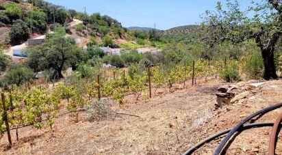 Farm T3 in Santa Catarina da Fonte do Bispo of 171 m²