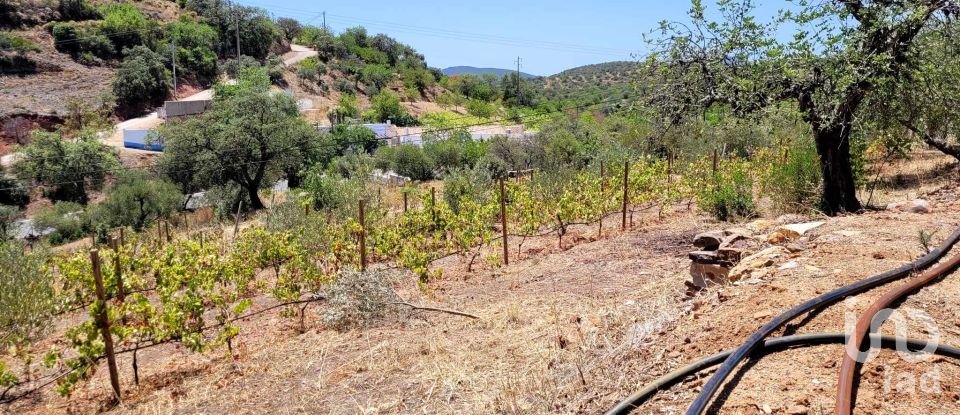 Farm T3 in Santa Catarina da Fonte do Bispo of 171 m²