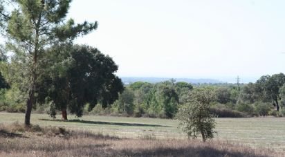 Terrain à bâtir à Melides de 84 500 m²