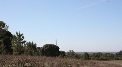 Terrain à bâtir à Melides de 84 500 m²