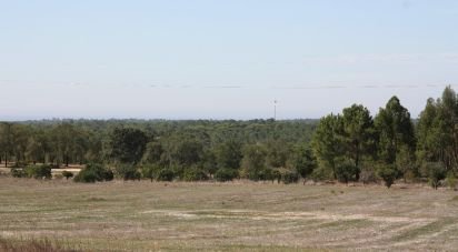 Terrain à bâtir à Melides de 84 500 m²