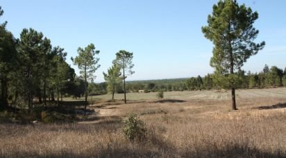 Building plot in Melides of 84,500 m²
