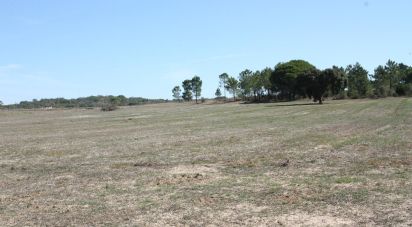 Building plot in Melides of 84,500 m²