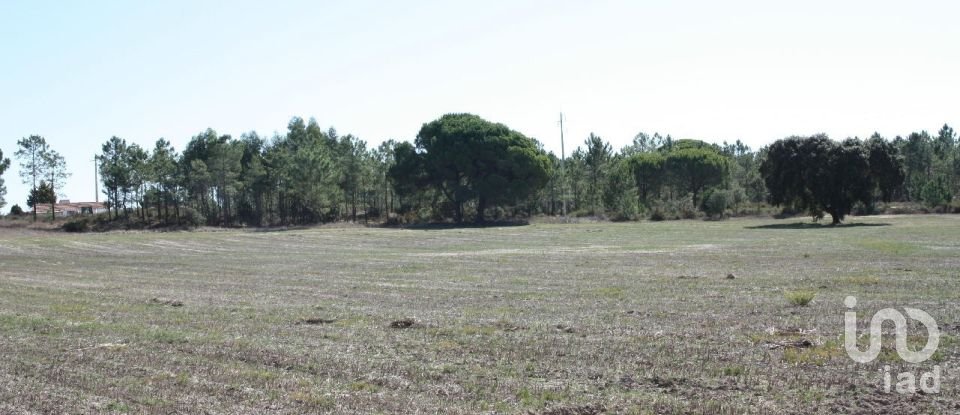 Building land in Melides of 84,500 m²
