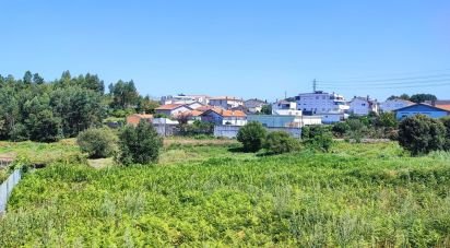 Land in Sanguedo of 6,930 m²