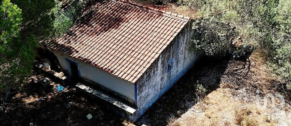 Country home T3 in São Teotónio of 150 m²