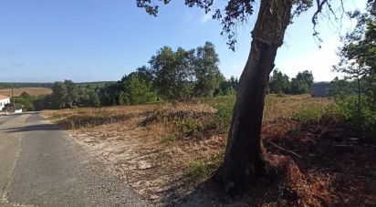 Terrain à bâtir à Coruche, Fajarda e Erra de 475 m²