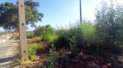 Terrain à bâtir à Coruche, Fajarda e Erra de 475 m²